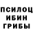 Галлюциногенные грибы Cubensis mister donut