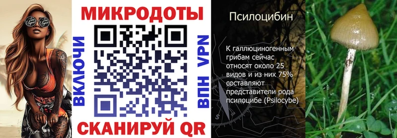 Галлюциногенные грибы Psilocybe  Харовск 