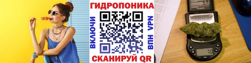 Канабис гибрид  Харовск 
